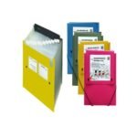 Lot de 10 Dossiers extensibles FOLDERMATE 13 Pochettes Format A4 (Coloris au choix)