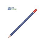 Boite de 12 Crayons de couleur Ergosoft Aquarell STAEDTLER