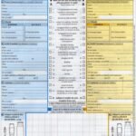 Bloc de 100 fiches "Constat automobile"