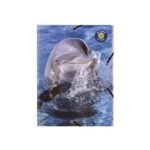 Paquet de 10 Chemises à élastiques FANTAISIES 3 rabats 24x32