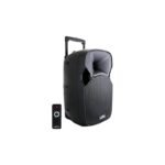 Haut-Parleur DIGITAL amplifié MASTER BQ-08 avec 2 Microphones sans fil  + Télécommande sans fil