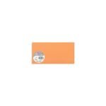 Lot de 250 CARTES POLLEN Clairefontaine 70x95 mm 210g/m2 coloris au choix