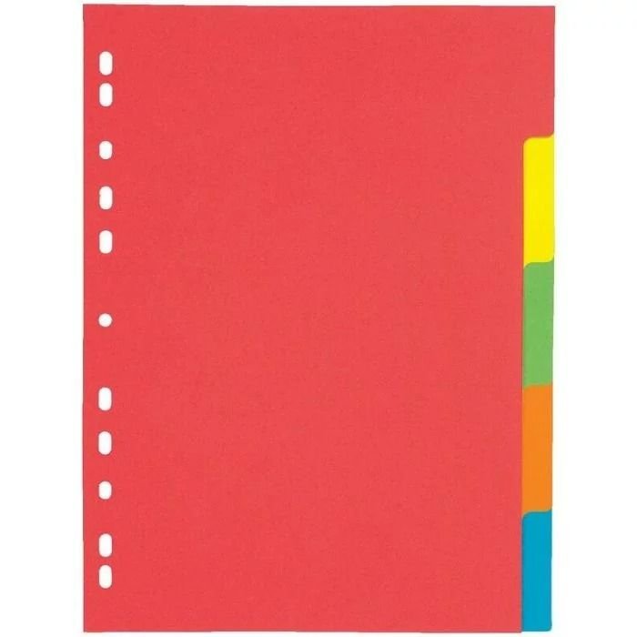 LOT DE 10 JEUX DE 6 INTERCALAIRES EN DOSSIER 240G A3 SICLA TOUCHES NEUTRES – Image 2