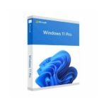 Microsoft Windows 11 Professionnel 64 bits Anglais (Licence originale + DVD) (FQC-10528)