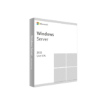 Microsoft Windows Server CAL 2022 French 1pk DSP O (R18-06431)