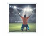 Oray 2000 PRO CINEFLEX - Écran de projection manuel  - 150 x 200 cm 10 kg (MPP01B1150200 ) – Image 3