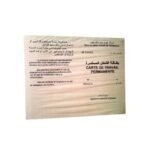 Paquet de 500 Cartes de Travail permanente avec photos